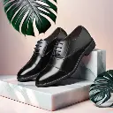 Black Premium Leather Lace Up Formal Shoe For Men 